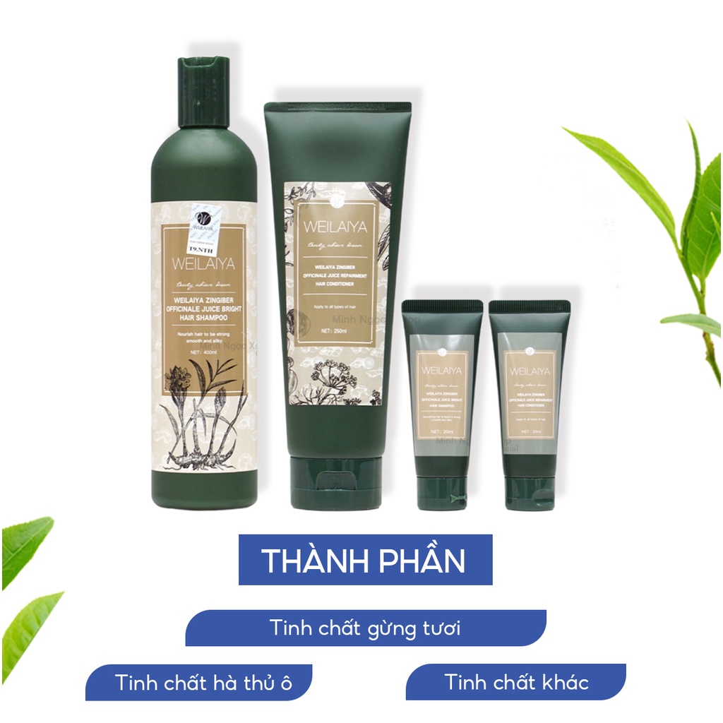 Combo dầu gội xả gừng hà thủ ô WEILAIYA ZINGIBER OFFICINALE JUICE chống rụng kích mọc tóc 400ml + 250ml tặng set mini