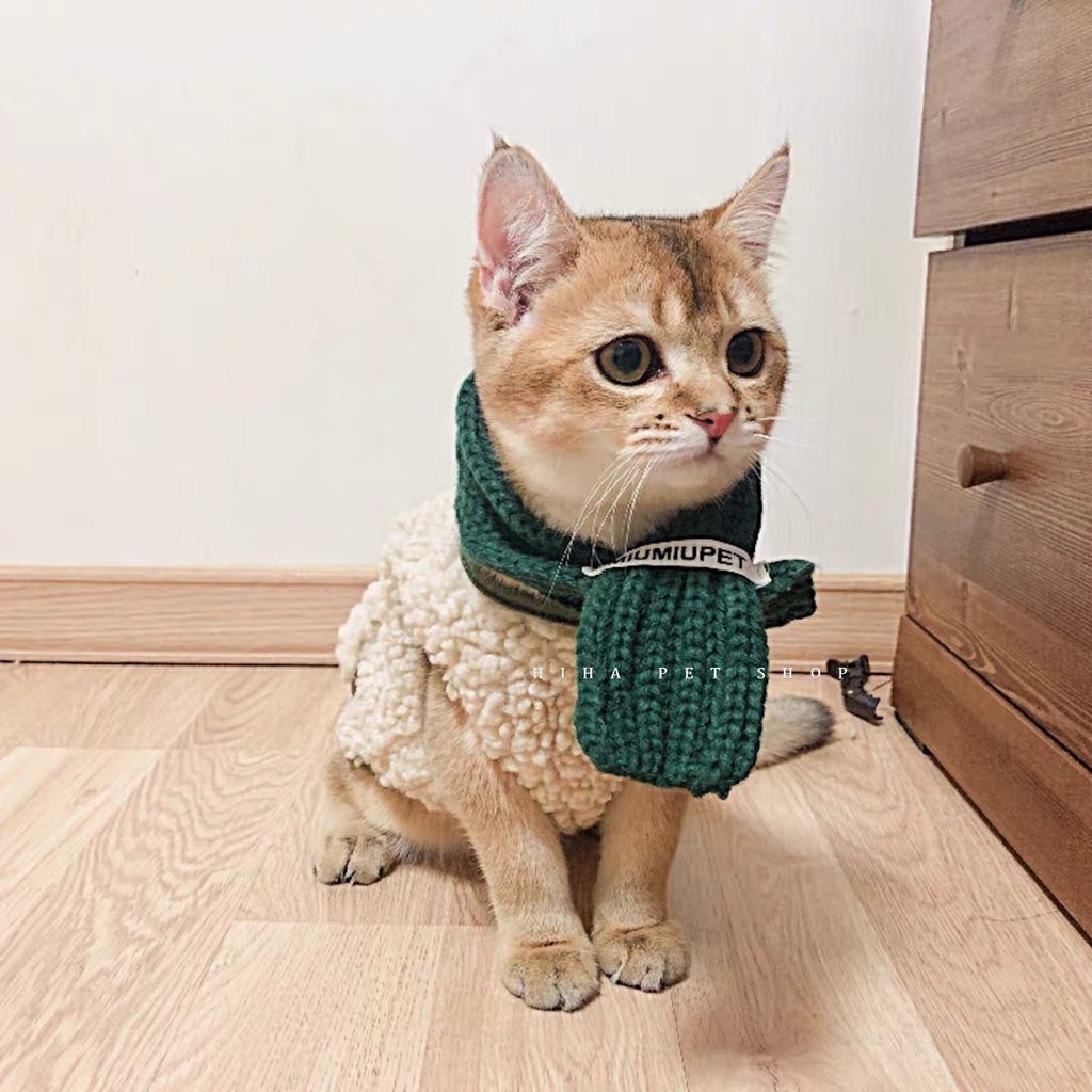 Quần Áo Cho Chó Mèo Có Khăn Cổ Du Lịch Và Thời Trang Của Hihapet.