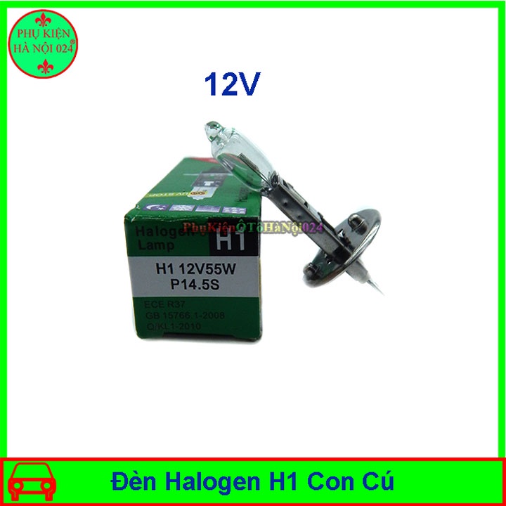 Bóng đèn Halogen Con Cú H1 Hai Loại 12V/ 24V