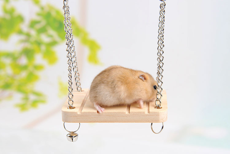 Đồ Chơi Treo Bằng Gỗ Có Chuông Nhỏ Cho Hamster