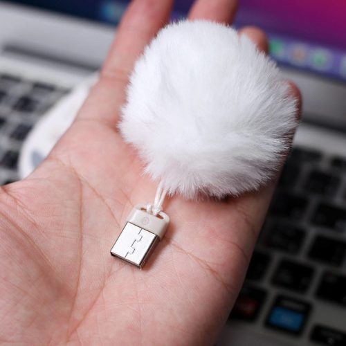 Chuột lofree Petal