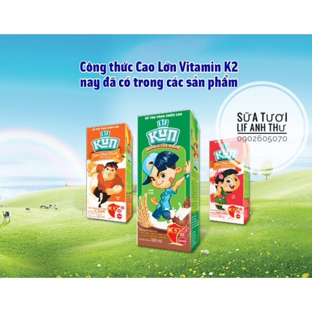 SỮA KUN CAO LỚN K2 CAM, DÂU, CACAO 180ml x 48 hộp