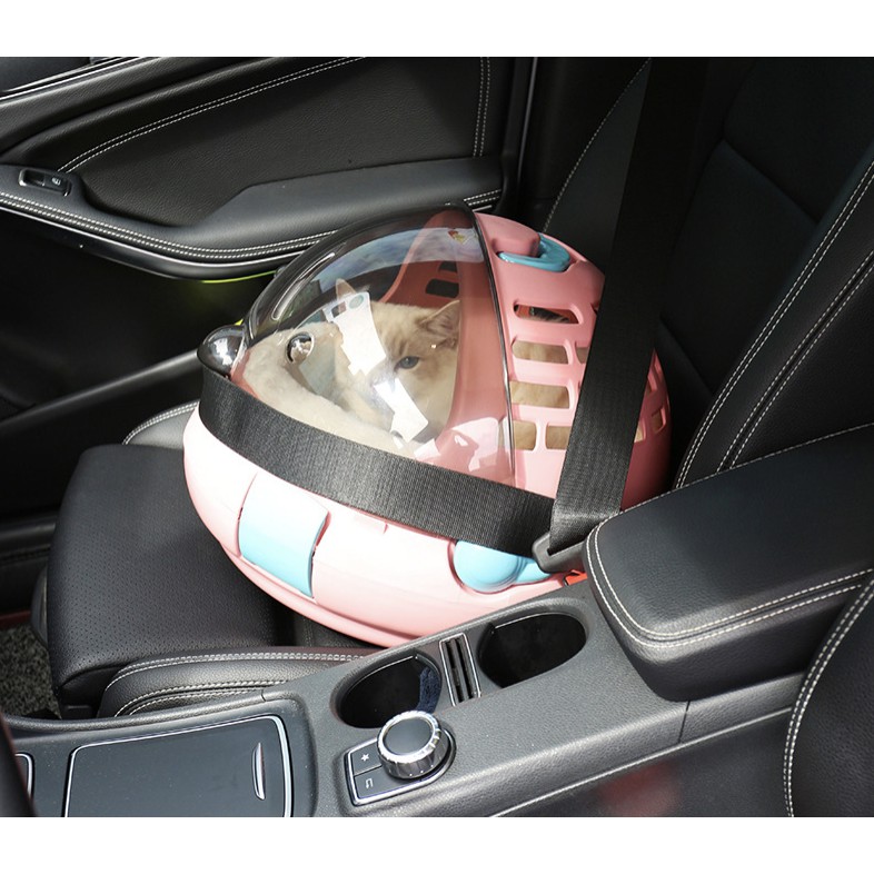 Lồng chó mèo thoáng khí cánh tiên, túi đựng balo vận chuyển thú cưng cún mèo Con Mèo Xiêm