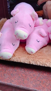 Gấu bông lợn hồng