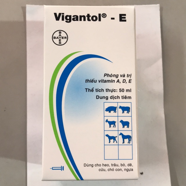 Vigantol E  phòng trị thiếu vitamin A,D,E
