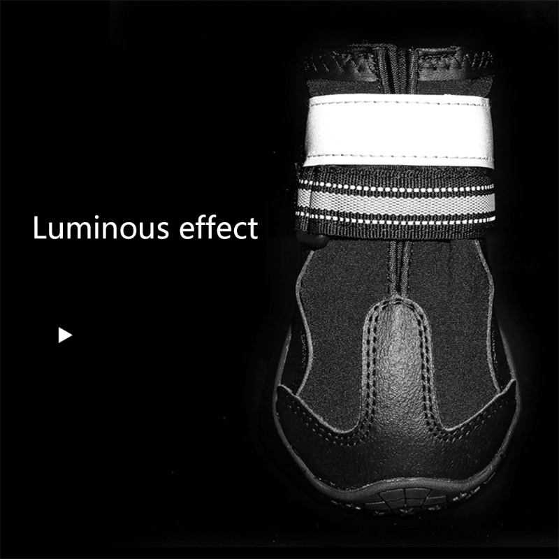 Lucky Giày Lưới Thoáng Khí Chống Trượt Phản Quang Dành Cho Cún Cưng