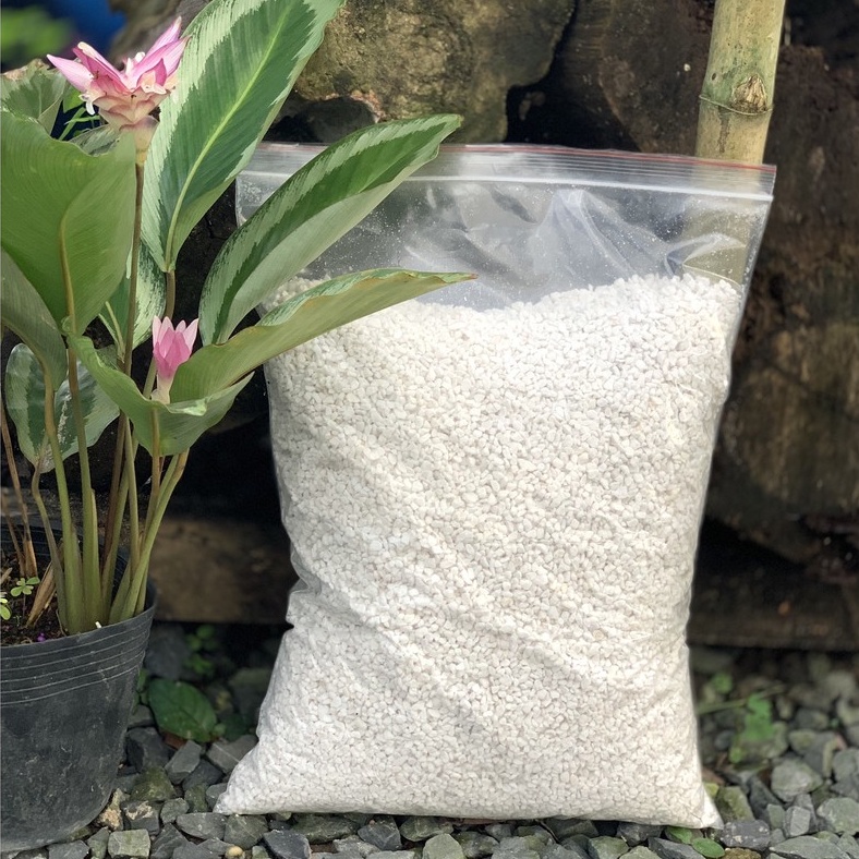 Đá Perlite bao lớn 700gr tiết kiệm - đá trân châu