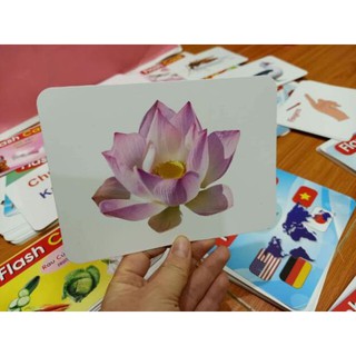 [GIẤY LOẠI DÀY] Thẻ học flashcard 15 chủ đề