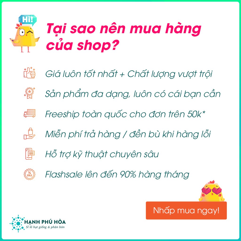 Hạt Giông Hoa Mười Giờ Rũ FVN 10H/Gói - Tỉ Lệ Nảy Mầm Cao,Cho Hoa Nhiều,Màu Đẹp,Dễ Trồng, Chậu treo