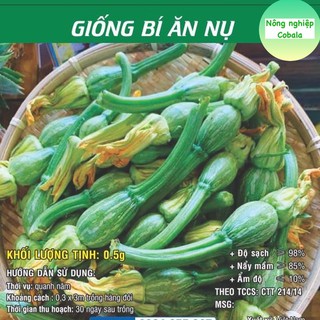 Hạt Giống Bí Ăn Nụ 0.5gr