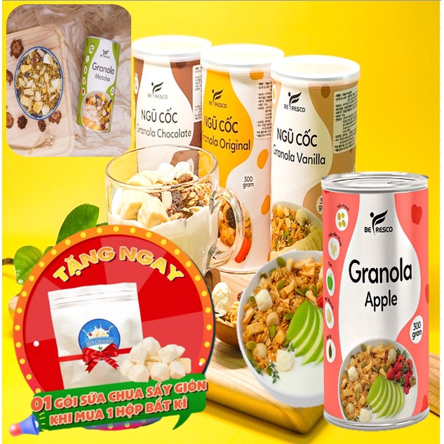 Mua 1 Tăng 1 Ngũ Cốc Granola Giảm Cân Ăn Sáng Ăn Kiêng Vị Hoa Quả Trái Cây Mix Sữa Chua Sấy Khô Siêu Ngon Befresco 300G