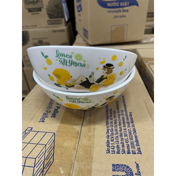 02 tô sứ 7inch hình mèo