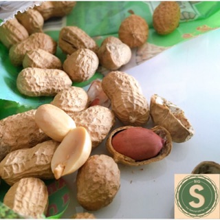 Đậu phộng nguyên vỏ - Đặc Biệt Thơm Ngon