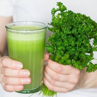 Hạt Giống Rau Mùi Cồn Tía