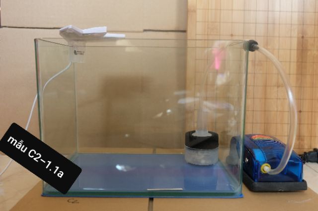 Bể cá ,Bể đúc 2 cạnh uốn siêu nhỏ để bàn , mẫu C1 và C2