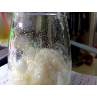 MẺ CHUA CƠM MẺ 1000ML