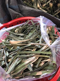 Lá nếp khô