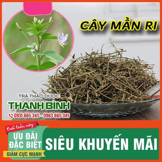 Cây Mần Ri Khô 500Gr - Hàng Công Ty Chất Lượng