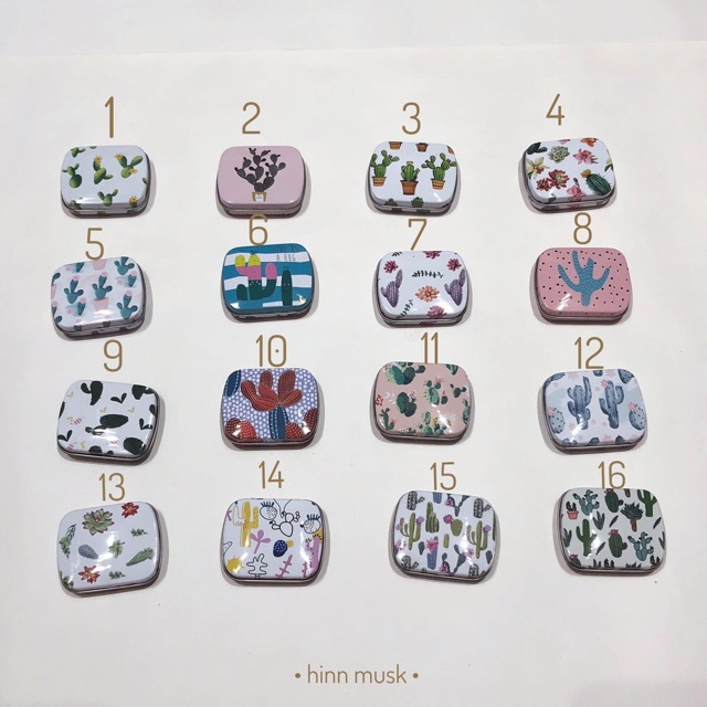 Hộp sắt mini xương rồng