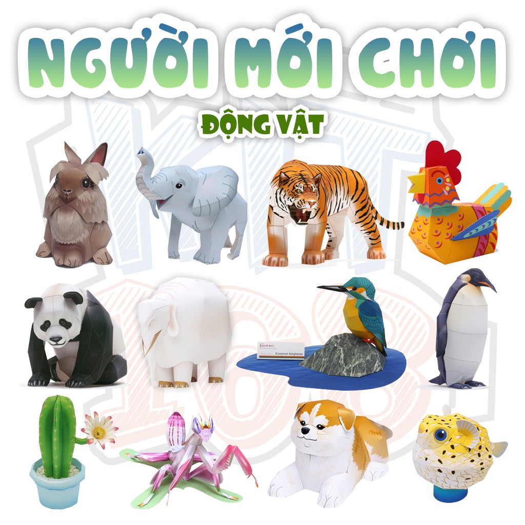 [NGƯỜI MỚI CHƠI] Mô hình giấy BG 0001