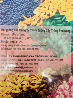 Cà dĩa xanh
