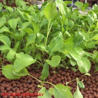 ĐẤT NUNG (SỎI NHẸ) TRỒNG CÂY 1kg