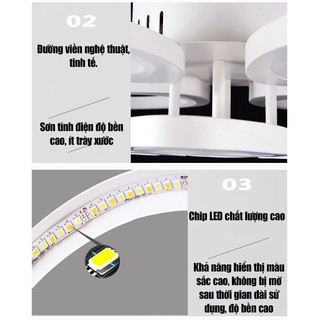 Đèn Ốp Trần Trang Trí  4 Cánh Mẫu V4
