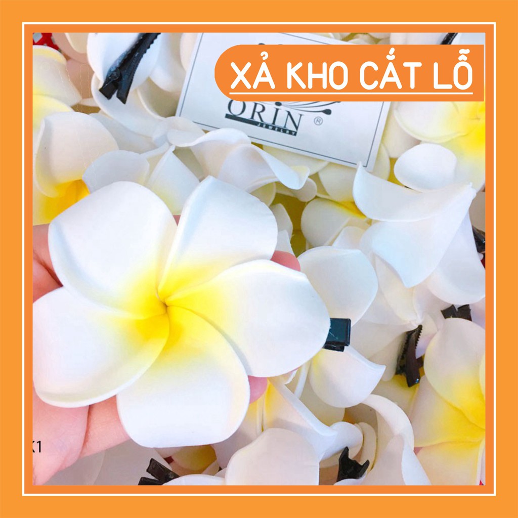 Shop2002  Kẹp tóc hoa sứ đi biển K1 ( 7 cm) Shop2002