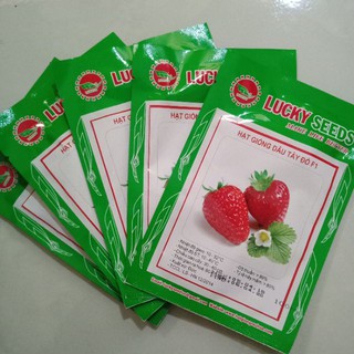 Bán Hạt Giống Dâu Tây Đỏ LUCKY SEEDS (100 hạt) hàng chuẩn