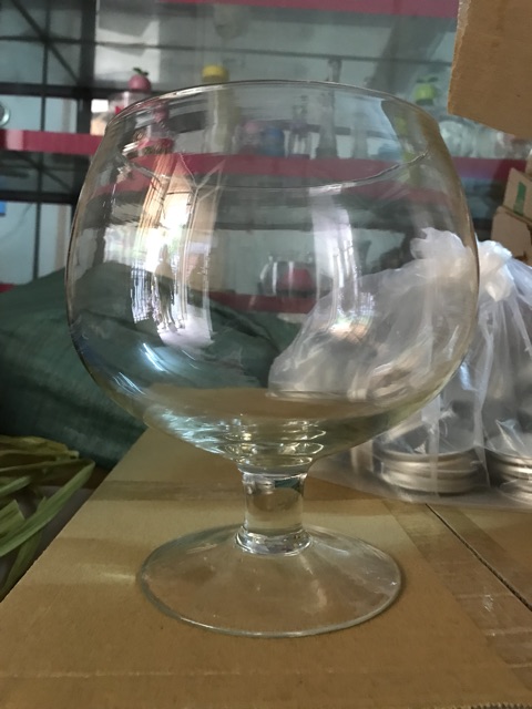 Bình Hoa thủy tinh trang trí 15cmx19cm