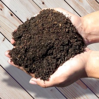 500g đất sạch trồng cây siêu dưỡng chuyên dùng cho các loại hoa, rau củ