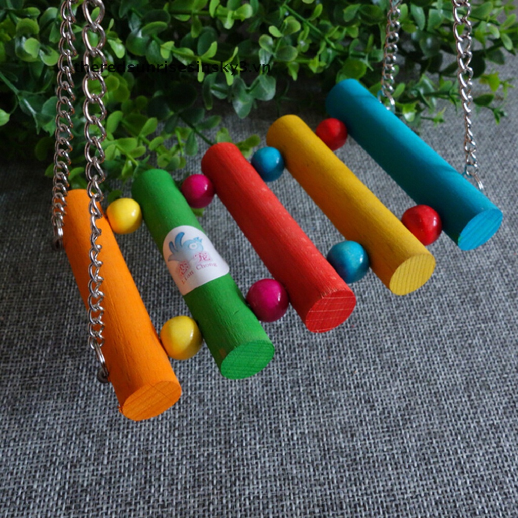 Đồ chơi xích đu treo lồng nhiều màu sắc đáng yêu dành cho chim vẹt đuôi dài yến phụng vẹt Mã Lai cưng