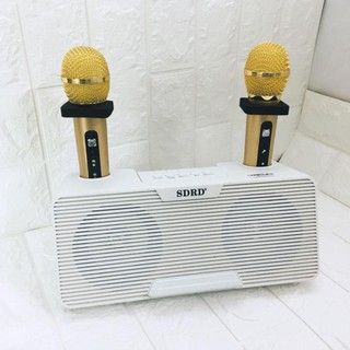 Loa karaoke bluetooth sdrd sd-302 tặng 2 mic không dây siêu hay