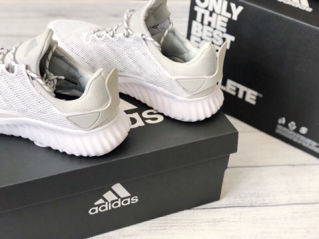 Giày Alpha Bounce City Run Climacool siêu êm nhẹ gym