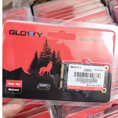 Ổ cứng SSD M2 và MSata 256GB/128GB Suneast | Gloway Hàng Chính Hãng - Bảo Hành 36 Tháng !!!