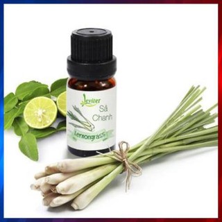 Tinh dầu Sả Chanh (10ml) - Tinh dầu thiên nhiên khử mùi, diệt khuẩn, Xua đuổi côn trùng, Tinh dầu xe hơi cao cấp