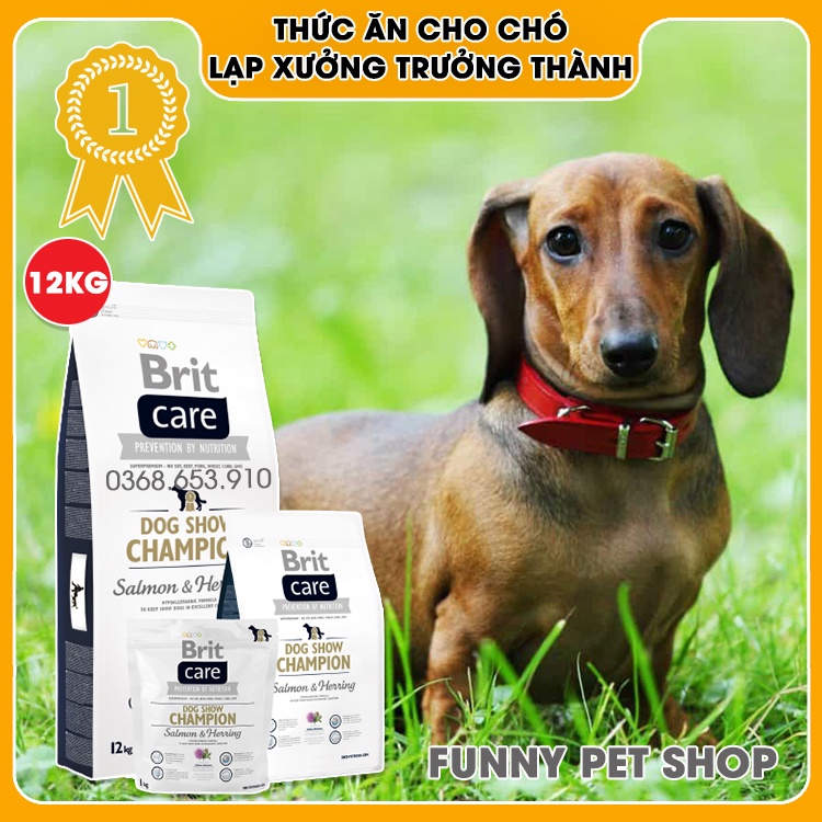 Thức Ăn Cho Chó Lạp Xưởng Trưởng Thành - Brit Care Dog Show Champion Vị Cá Hồi