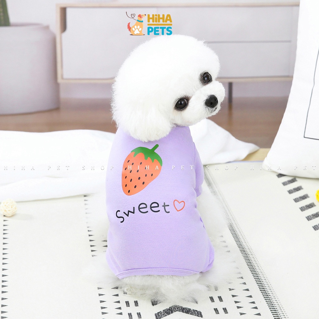 Quần Áo Cho Chó Mèo 4 Chân Mặc Ấm Chất Liệu Thun Cotton Quần Áo Thú Cưng Jump Hình Dễ Thương Hihapet.