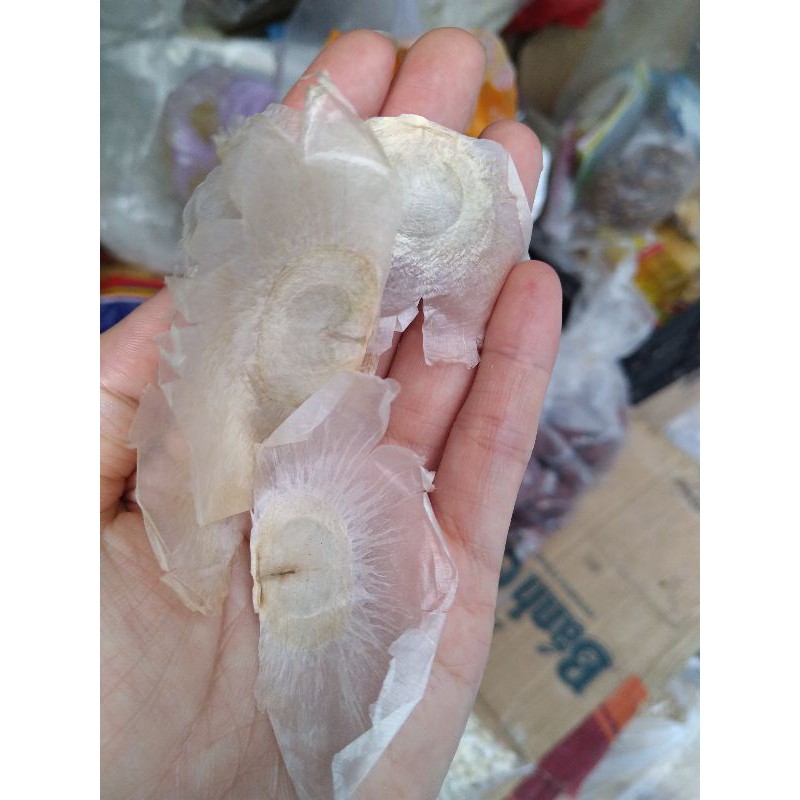Thiên tùng chỉ 50g - 100g