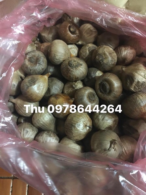 250 gram Tỏi đen cô đơn! Tỏi đen 1 nhánh | BigBuy360 - bigbuy360.vn