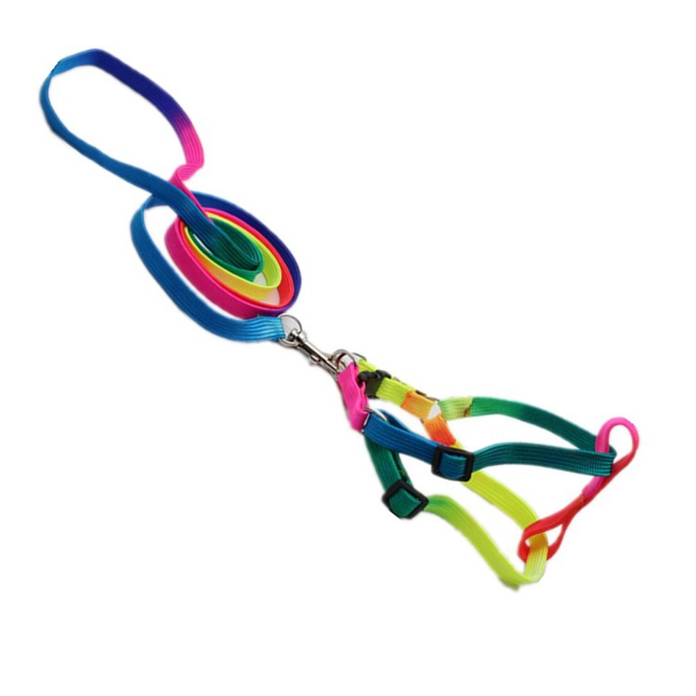 Dây Yên Cương Dùng Cho Thú Cưng