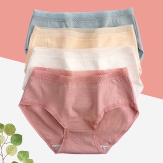 Combo 6 quần chip cotton xuất Nhật