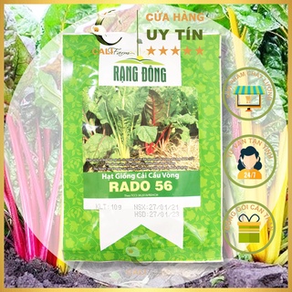 Hạt Giống Cải cầu vồng Rado 56 gói 10gr Dễ trồng, Ăn Ngon