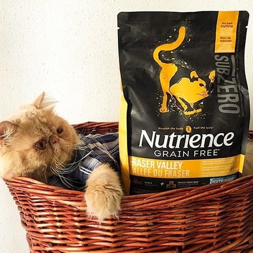 [DINH DƯỠNG CAO]  Thức Ăn Hạt Cho Mèo Nutrience Subzero Bao 5kg - Thịt Gà, Cá Hồi, Cá Tuyết, Rau Củ, Trái Cây Tự Nhiên