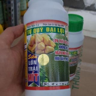 Phân bón lá lớn trái mít tứ quý Đại Lợi 500 mil