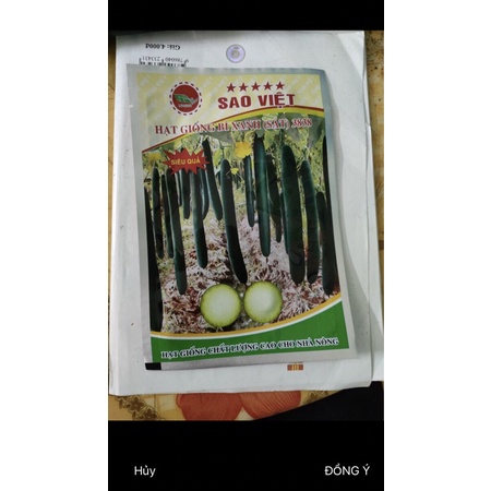 Hạt giống bí xanh (bí sặt) 3838, Hàng sai quả