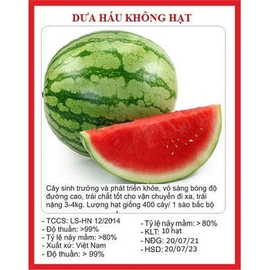 Hạt giống dưa hấu đỏ không hạt của Thái Lan - Hạt giống dưa hấu