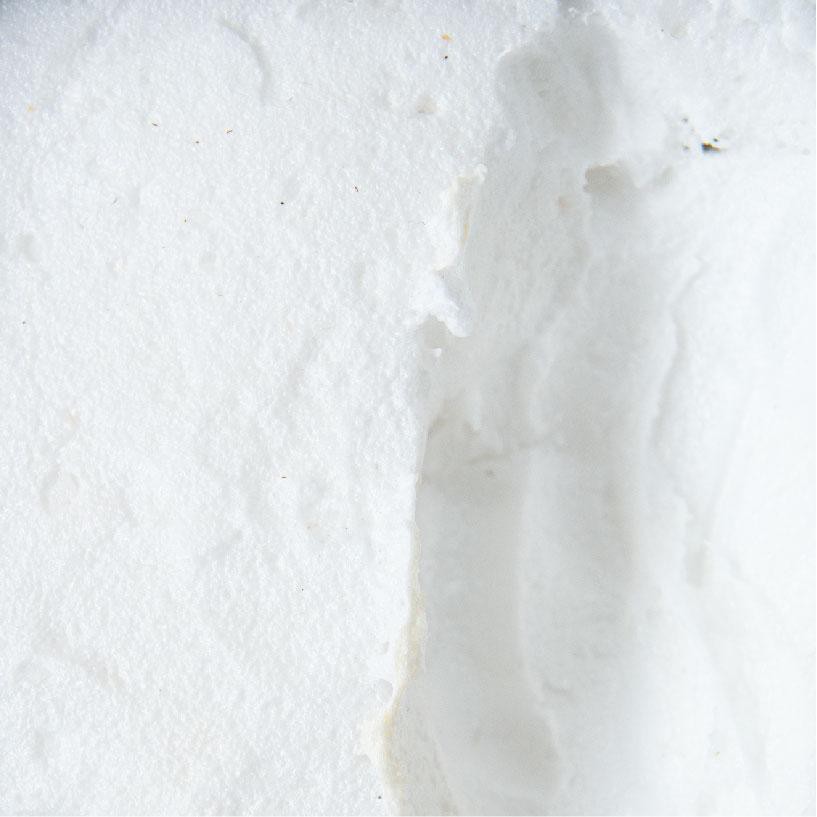 SPECIAL. Ben Tre Coconut Sorbet