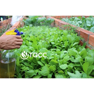 Chế phẩm Smin rau ăn lá 100ml