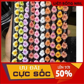 Hoa ly đá - Hoa bột nail mẫu mới